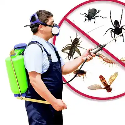 pest control Lindenwold